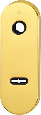 PLACCA OTTONE MANIGLIA/DM ORO
