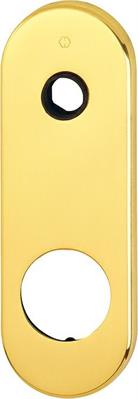 PLACCA OTTONE MANIGLIA/DEFENDER ORO