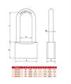 LUCCHETTO IN  OTTONE ARCO LUNGO MM.30