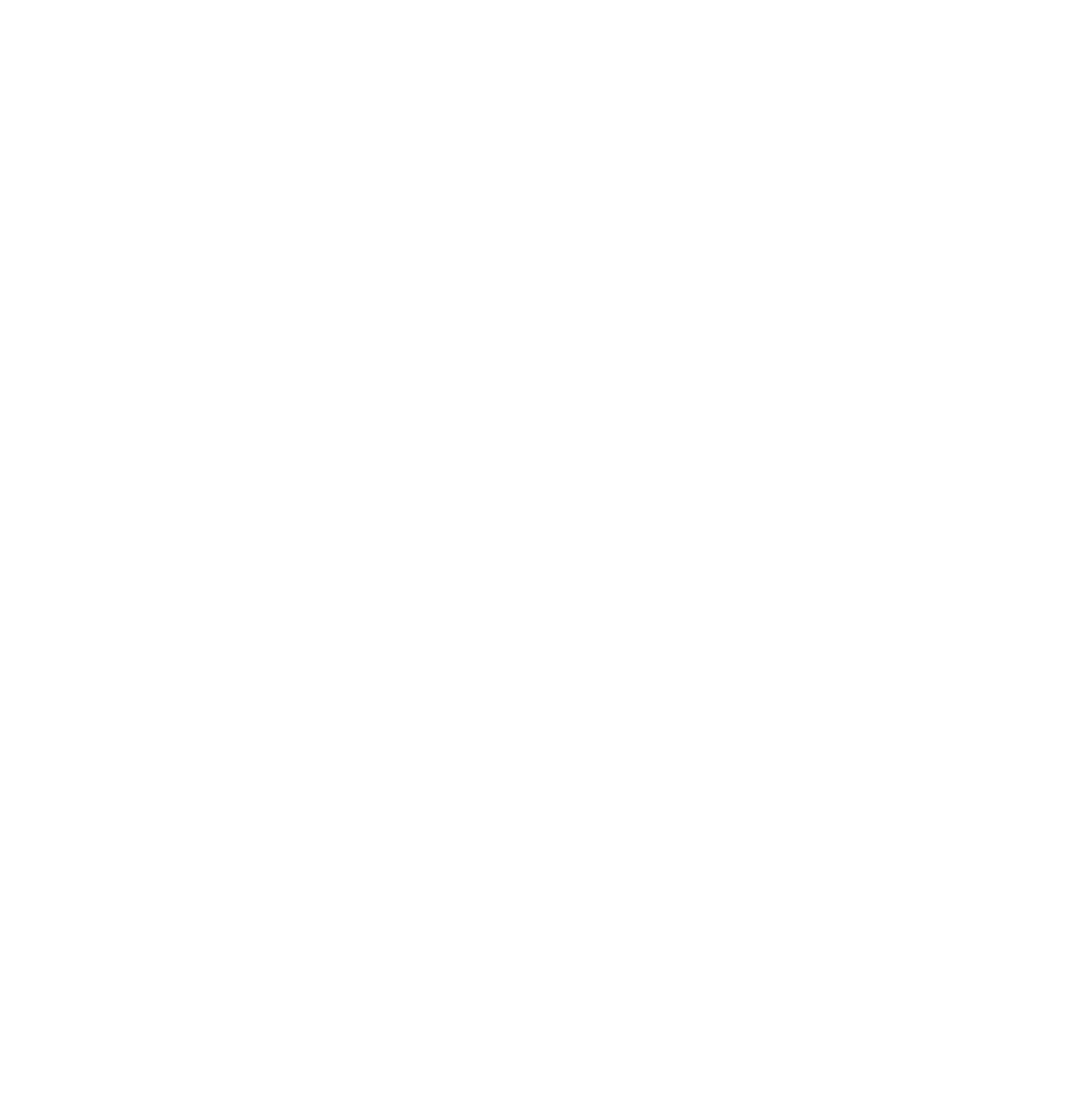 logo-v-vitel_bianco